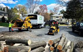 Best Sod Installation  in Rogers City, MI